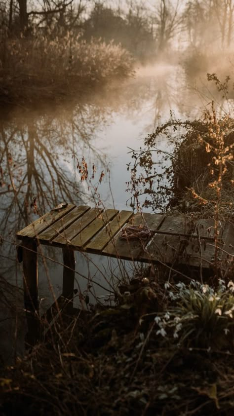 Dark Autumn, Pretty Landscapes, Film Photographer, Witch Aesthetic, Little Garden, Autumn Aesthetic, Autumn Photography, Country Life, Iphone Background