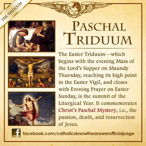 What is Paschal Triduum? © Catholics Know The Answer #ChooseToBeBrave #YearOfTheLaity #JesusChrist #Catholic #Christian #Catholicism #CatholicsKnowTheAnswer #CKA #Catechism #PaschalTriduum www.facebook.com/catholicsknowtheanswerofficialpage Pictures Of Jesus, Apa Citation, Catholic Lent, Catholic Theology, Catholic Answers, Catholic Doctrine, Holy Thursday, Maundy Thursday, Catholic Beliefs