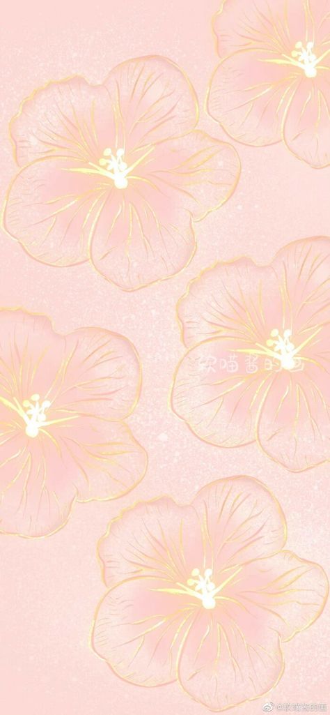 Aesthetic Wallpaper Peach Color, Peach Colored Wallpaper, Peach Wallpapers, Peach Pink Wallpaper, Peachy Pink Wallpaper, Color Durazno, Diwali Wallpaper, Lockscreen Ideas, Pink Gym