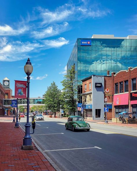 Alex N on Instagram: “Downtown Moncton, New Brunswick . . . . . #downtown #downtownmoncton #monctonnb #moncton #monctonphotographer #monctonnewbrunswick…” New Brunswick Canada, Young Professional, New Brunswick, The Hub, Future Life, Professions, Times Square, Street View, Photographer