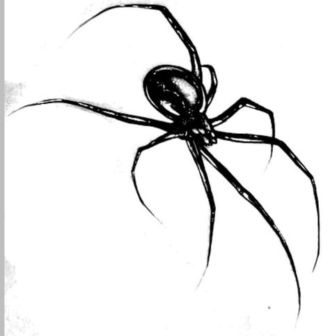 Spider Foot Tattoo, Spider Tattoo Design, Inch Tattoo, Spider Heart, Black Widow Tattoo, Spider Drawing, Widow Spider, Black Widow Spider, Sharpie Tattoos