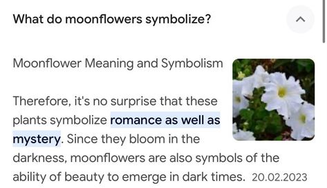 Moon Flower Meaning, Moonflower Symbolism, Moonflower Bouquet, Moonflower Meaning, Moonflower Aesthetic, Plant Tattoo, Garden Angels, Flower Meanings, Marigold Flower