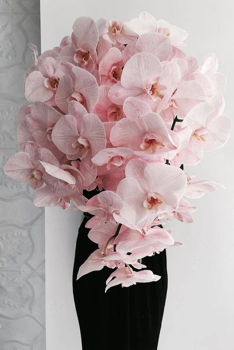 dusty rose wedding bouquet cascading with orchids willow_and_bear Dusty Rose Wedding Bouquet, Pink Orchids Bouquet, Wedding Bouquet Cascading, Orchid Bridal Bouquets, Orchid Bouquet Wedding, Orchid Bouquet, Dusty Rose Wedding, Orchid Wedding, Gold Wedding Decorations