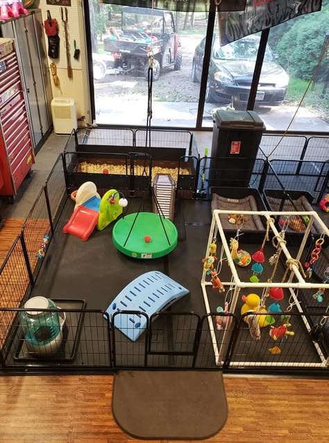 Breeder Puppy Room, Dog Welping Rooms, Indoor Puppy Play Area Dog Rooms, Dogs Playroom, Puppy Litter Play Area, Dog Playroom Indoor, Puppy Play Area Indoor, Puppy Room Set Up, Small Dog Play Area Indoor