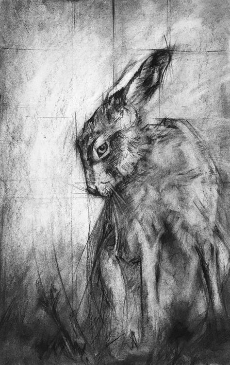 Stay Or Go, Hummingbird Drawing, Hare Painting, St Louis Art, Final Fantasy Artwork, Owls Drawing, Jack Rabbit, Charcoal Art, Charcoal Drawing