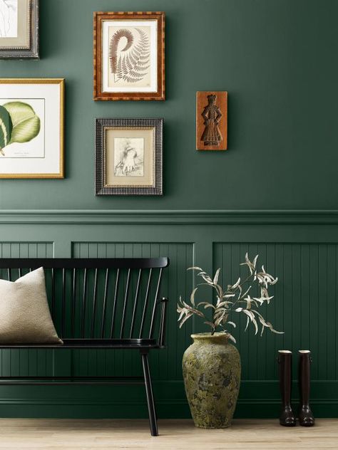 Sherwin-Williams' 2024 collection of blues and greens features the striking verdant hue, Billiard Green. This cool, forest-inspired shade is rich and organic with timeless appeal. (It's part of the brand's historical collection as well.) How You Can Use It Go green in an outside-to-inside space like a mudroom, foyer or entryway. This rich emerald will provide continuity with natural surroundings while creating a dazzling entrance to your home. Emerald Green Paint, Green Entryway, Sherwin Williams Green, Trending Paint Colors, Color Forecasting, Sherwin Williams Colors, Green Paint Colors, Sherwin Williams Paint Colors, Green Paint