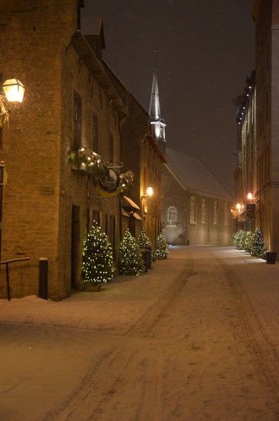 Old Quebec, Winter Szenen, Pine Branches, Perfect Night, Winter Love, Winter Scenery, Winter Magic, Winter Beauty, Snow Scenes