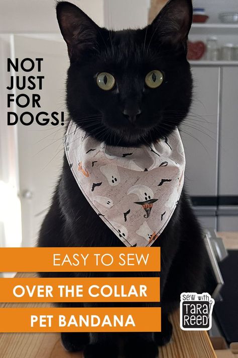 Easy to Sew Over the Collar Pet Bandana Sewing Projects For Dogs, Halloween Dog Bandana, Over The Collar Dog Bandana, Sewing Projects Free, Cat Bandana, Easy To Sew, Collar Dog, Love Sewing, Dog Halloween