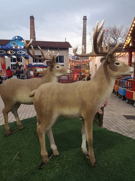 Reindeer Statue, Car Building, Backyard Flowers, Christmas Parade, Christmas Time Is Here, Flowers Garden, Outdoor Christmas, Christmas Home, Happy Holidays