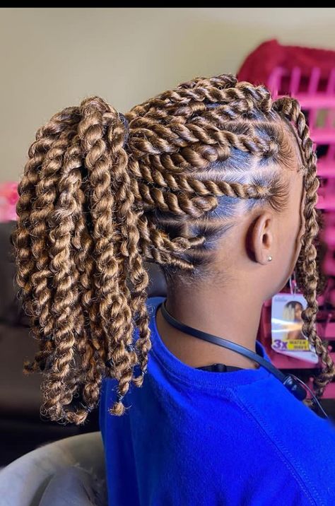 Twist Braid, Cute Braided Hairstyles, Braids Hairstyles Pictures, Braided Cornrow Hairstyles, Braided Hairstyles For Teens, Quick Braided Hairstyles, Twist Braid Hairstyles, Hair Twist Styles, Hair Ponytail Styles