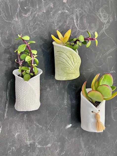 Air Dry Clay Pots, Pots For Succulents, Clay Plant Pots, Succulent Planter Diy, Planting Pot, Diy Air Dry Clay, Air Dry Clay Projects, Air Plant Terrarium, Clay Planters