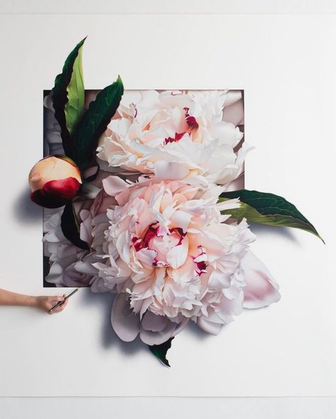 Cj Hendry, Hyperrealistic Drawing, Big Mood, Energy Art, Floral Drawing, Unique Paintings, Color Pencil Art, Color Pencil, Flower Show