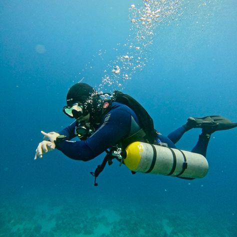 🌊 Dive in with Pyramids Diving Center for an unforgettable experience! Join us for the PADI Sidemount Course and elevate your diving skills to new depths. 🦈🌿 Discover the underwater world like never before and immerse yourself in the beauty of marine life. Sign up now and let’s explore together! 💦✨ Book at info@pyramidsdivingcenter.com WhatsApp +20 112 778 7023 (Italian-English- Spanish) WhatsApp +20 115 129 5888 (Russian-English) www.pyramidsdivingcenter.com #PyramidsDivingCenter #Di... Deep Dive Dubai, Diver Aesthetic Deep Sea, Scuba Diving Memes Funny, Diving Center, Scuba Diving Meme, Underwater World, Marine Life, Diving, Instagram