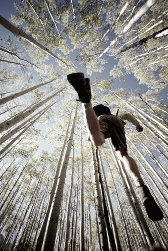 Top 25 ideas about Low Angle Shot on Pinterest | Wedding pictures ... Wide Angle Photography, Worms Eye View, Low Angle Shot, Perspective Photography, Photographer Inspiration, Aspen Colorado, Low Angle, Male Eyes, Composition Photography