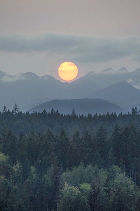 Poulsbo Washington, Pnw Aesthetic, Hood Canal, Pacific Northwest Art, Olympic Mountains, Nikon D7100, Evergreen State, Landscape Mountain, Sun Setting