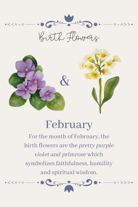 Violet Flower February, Violets And Primrose, Primrose Violet Tattoo, February Month Flower, Primrose Flower Meaning, February Flower Tattoo With Name, Birth Flower For February, Birth Flower Meanings, Violets And Primrose Tattoos