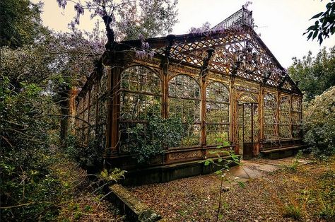 #steampunk style  Inside an abandoned greenhouse that is defiantly growing seemingly without human care. Steampunk Greenhouse, Walipini Greenhouse, Greenhouse Inside, Victorian Greenhouse, Victorian Greenhouses, Sun Rooms, Glass Houses, Magic Places, Witch Garden