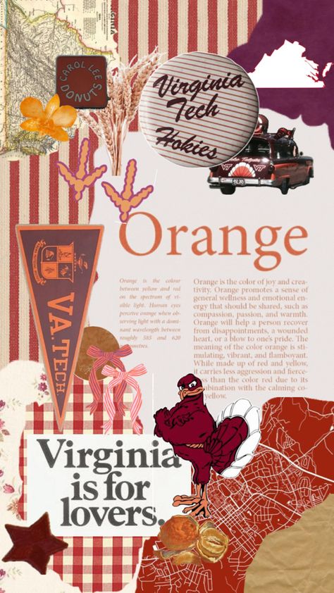 Virginia Tech Hokies, Human Eye, Virginia Tech, Orange Color, Mood Board, Virginia, Collage