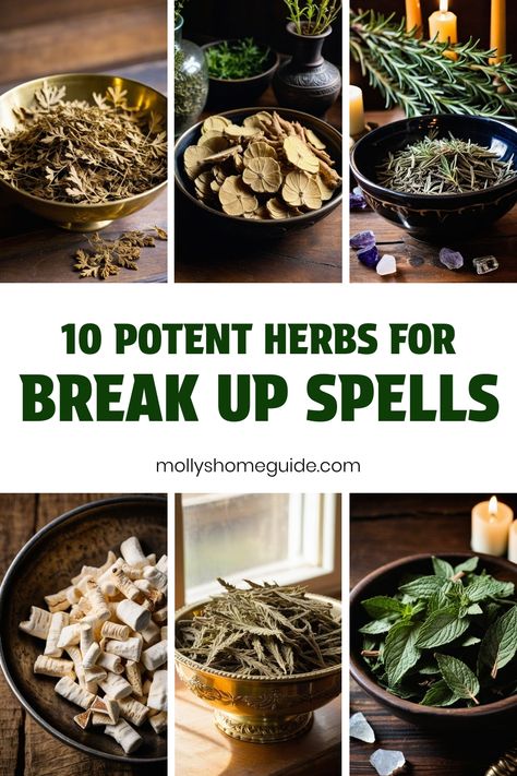 Are you looking for ways to separate two people using ritual magic spells? Discover the power of herbs for break up spells with our collection of banishing herbs and magic ingredients. Whether you're interested in white magic or Wiccan break-up spells, explore the possibilities of utilizing fennel magick and freezer spells to help break a spell that no longer serves you. Our guide includes a variety of effective herbs for break up rituals and love spell practices. Herbs For Break Up Spells, Herbs For Banishing Spells, Spell To Separate Two People, Separation Spell, Banishing Herbs, Magic Ingredients, Spells And Rituals, Break Up Spells, Ritual Magic