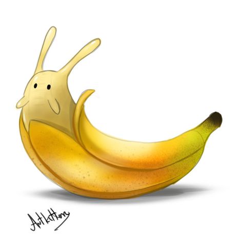 Cryptid Creatures, Banana Slug, Cute Food Drawings, Deviant Art, Daily Painting, Big Thanks, Animal Sketches, Slug, Food Drawing