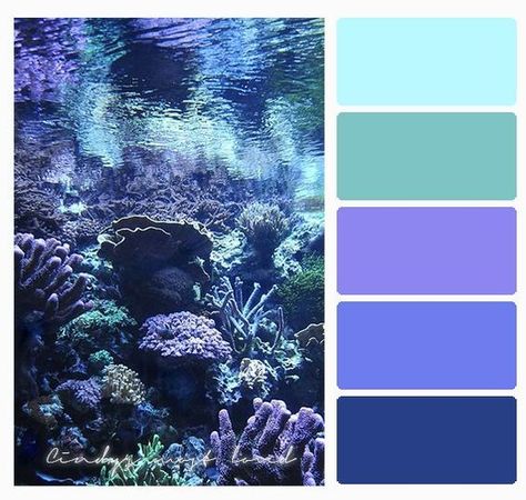 Ocean Color Palettes, Ocean Color Palette, Style Tips And Tricks, Photos Bff, Color Schemes Colour Palettes, Sea Colour, Beach Color, Ocean Colors, Mermaid Coloring