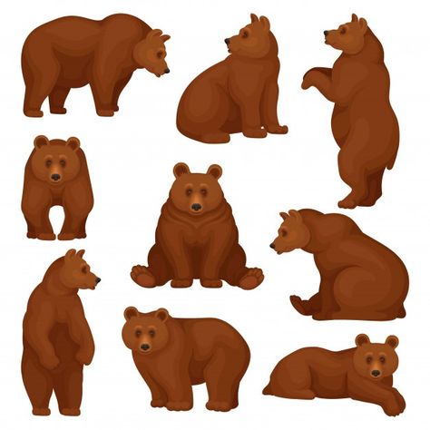 Set of large bear in different poses. wi... | Premium Vector #Freepik #vector #character #animal #bear #illustration Bear Poses, Bear Character Design, Pirates Illustration, Teddy Bear Cartoon, Bear Vector, Bear Drawing, Bear Character, Wild Forest, Different Poses