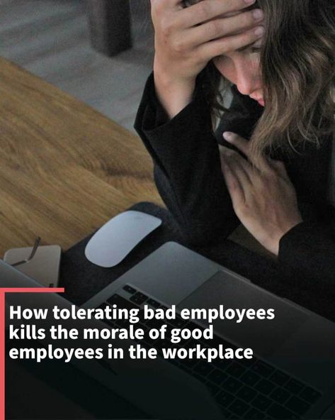 Companies should avoid tolerating bad employees since it kills morale in the workplace and may lead to the loss of top talent. Tolerating Bad Employee Quotes, Rewarding Bad Employees Quotes, Tolerate Bad Employees, Bad Employees, When Good Employees Leave, Good Employee Traits, Difficult Employees, Employee Morale, Positive Work Environment