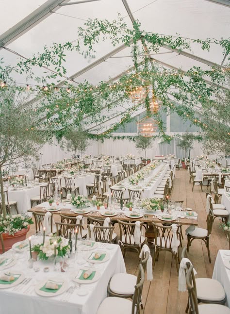 kimbrell-bruce-wedding-tent-0620 Clear Marquee Wedding Decor, Italian Tent Wedding, Courtyard Wedding Decorations, Italian Courtyard Wedding, Court Yard Wedding, Elegant Italian Wedding, Italian Courtyard, Tent Weddings, Outdoor Tent Wedding