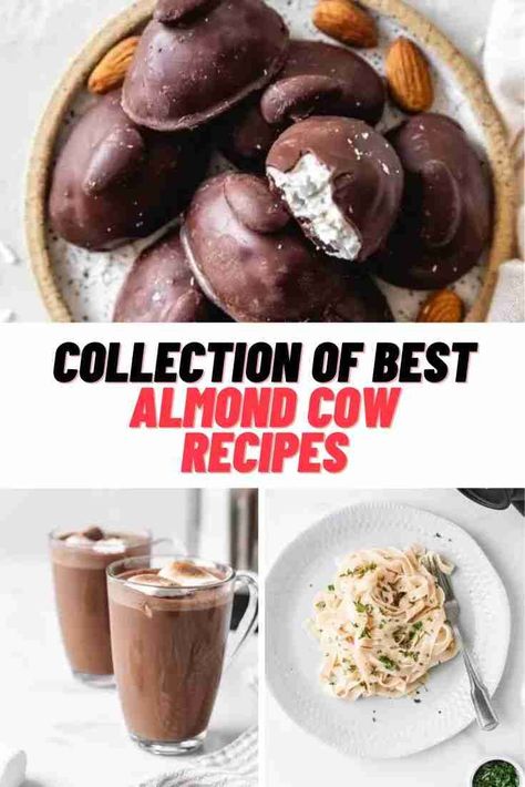 Almond Cow Recipes #AlmondCow #AlmondMilk #recipes Cooking With Almond Milk, Almond Milk Recipes With Almond Butter, Almond Cow, Almond Cow Recipes, Almond Cow Milk Recipes, How To Use Up Almond Milk, Almond Cow Pulp Recipes, Almond Cow Oat Milk Recipe, Almond Milk Vs Cows Milk