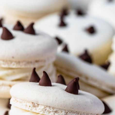 Camila Hurst on Instagram: "Cannoli macarons with a cannoli filling! This recipe is available on my ebook, which is included with my Macaron School Course and also can be purchased separately. #cannoli #macarons #macaronlover" Cannoli Macaron, Camila Hurst, Cannoli Filling, Cannoli, Macarons, Canning, On Instagram, Instagram