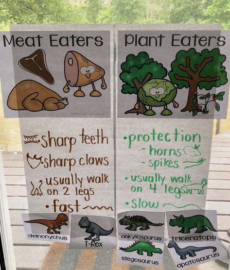 Dinosaur Class Activities, Dinosaur Theme Lesson Plan, Carnivore Dinosaur Activities, Dino Lessons Preschool, Carnivore And Herbivore Activities, Dino Activities For Kindergarten, Meat Eater Vs Plant Eater Dinosaurs, Preschool Dinosaur Science, Learning About Dinosaurs