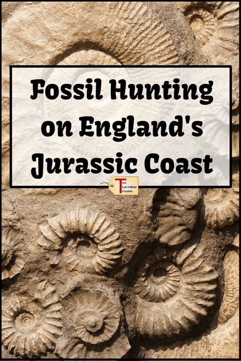 The Jurassic Coast, Jurassic Coast Fossils, Lyme Regis Dorset, Jurassic Coast England, England Travel Guide, Fossil Hunting, Dorset England, Lyme Regis, Hunting Tips