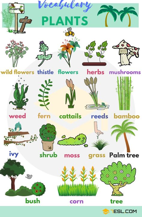 0shares Learn Plant and Flower Vocabulary in English through Pictures and Videos. Plants are one of five big groups of living … Learning English For Kids, English Vocab, English Language Teaching, English Lessons For Kids, Grammar And Vocabulary, Learn English Vocabulary, Flower Names, English Language Learning, English Writing