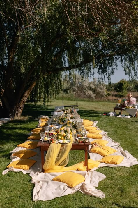 Italian-style picnic Picnic Grilling Ideas, Yellow Picnic Ideas, Italian Picnic Aesthetic, Italian Backyard Party, Picnic Engagement Party, Citrus Picnic, Summer Italian Dinner, Devojacko Vece, Mediterranean Picnic