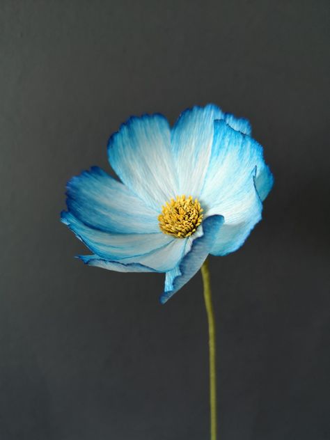 Painted Paper Flowers, Blue Cosmos Flowers, Blue Crepe Paper Flowers, Blue Cosmos, Paper Petals, Crepe Paper Crafts, Paper Flower Arrangements, Felt Flowers Diy, Paper Blue