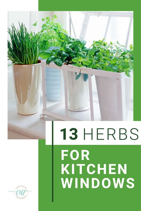 Most of us have a kitchen window and it can do more than let the light in! It is a perfect spot for growing some herbs but which ones and how should you make the most of your space? Here are 13 different herbs to grow in your kitchen window and some tips on managing them. Bay Window Herb Garden, Best Plants For Kitchen, Kitchen Garden Window Ideas, Potted Herb Garden Ideas, Garden Window Ideas, Outdoor Herb Garden Ideas, Kitchen Herb Garden Indoor, Herb Garden Ideas Indoor, Window Sill Garden