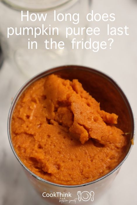 How To Store Pumpkin Puree, Ways To Use Pumpkin Puree, How To Make Your Pumpkin Last Longer, Freezing Pumpkin Puree, How To Freeze Pumpkin Puree, Can You Freeze Pumpkin, Processing Fresh Pumpkin, Can You Freeze Pumpkin Puree, How To Get Pumpkin Puree From A Pumpkin