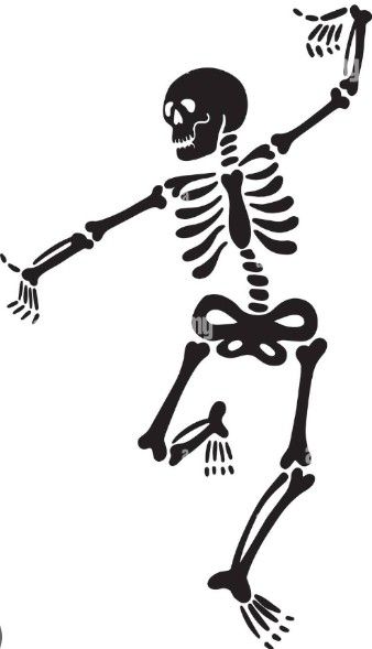 Simple Skeleton Drawing, Halloween Skeleton Drawing, Skeleton Doodle, Pumpkin Face Templates, Simple Skeleton, Unique Halloween Decorations, Skeleton Drawings, Damask Stencil, Halloween Figures