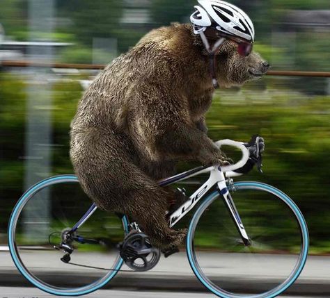 Bicycle Pictures, Rocket Pack, Photoshopped Pictures, Funny Photoshop, Riding A Bicycle, Cycling Trips, Bicycle Race, Save Animals, Man Vs