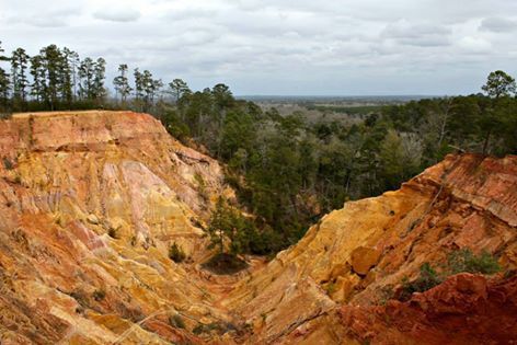 A beautiful view of Red Bluff in Foxworth, Mississippi. Windsor Ruins, Mississippi Vacation, 7 Wonders Of The World, Mississippi Travel, Louisiana Travel, Natchez Trace, Red Bluff, 7 Wonders, American Travel