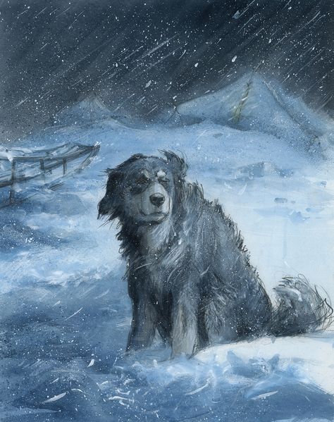 The Call Of The Wild Movie, Call Of The Wild Wolf, The Call Of The Wild Book, The Call Of The Wild, Wild Movie, Graphic Novel Illustration, Wild Book, Jack London, Wild Wolf