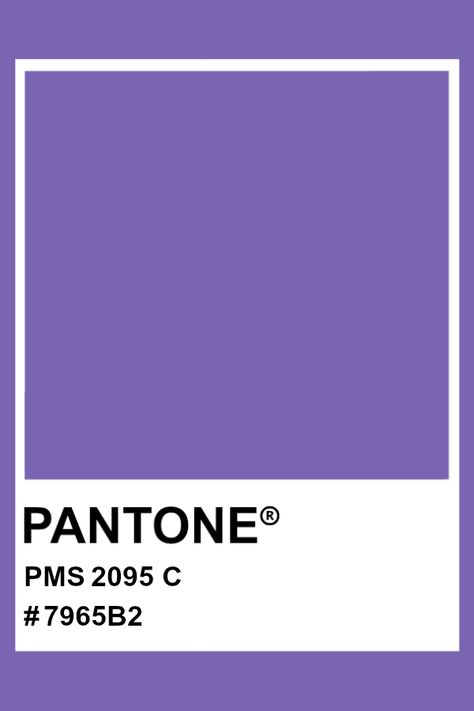 PANTONE 2095 C #pantone #color #PMS #hex Pantone Purple Shades, Pantone Violet, Clear Spring Palette, Pantone Purple, Cool Summer Palette, Pantone Matching System, Pantone Colours, Pantone Color Chart, Pantone Colour Palettes