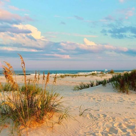 Beautiful Pawleys Island in South Carolina • 📸@myrtlebeachlivingphotography • #pawleysisland #pawleysislandsc #lifeonthecoast… | Instagram Ocean Scenes Photography, Costal Landscapes, Beach Scenes Photography, Toms Trunks, Beach Landscape Photography, Beautiful Beach Scenes, Living Photography, Beach Scene Painting, Naples Beach