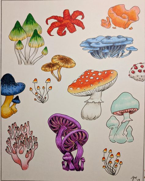 Fungi Illustration, Starbucks Art, Mushroom Paint, Crystal Drawing, Pen Art Work, Mushroom Crafts, Mushroom Drawing, Mushroom Hunting, Art And Craft Videos