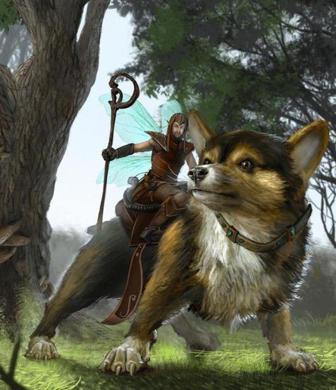 Riding your Corgi into battle Sorcerer Warlock, Npc Ideas, Forever Alone, Corgi Art, Welsh Corgi Puppies, Corgi Butts, Drawing Digital, Corgi Puppy, Cute Corgi