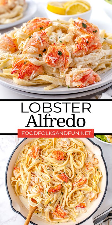 Shrimp Ravioli Recipe Alfredo Sauce, Lobster Alfredo Recipe, Lobster Meals, Simple Seafood Recipes, Lobster Alfredo, Fetuchini Alfredo, Seafood Ideas, Alfredo Recipes, Lobster Recipe