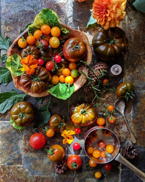 Golden Nugget, Home Grown, Got To Be, Top Pick, My Favourite, Tomatoes, Food Photography, Cherry, Photography