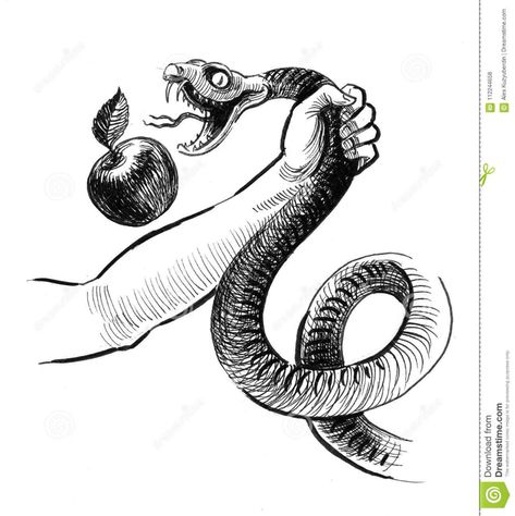 Snake With Apple, Snake And Apple, Holding Snake, Drawing On Hand, Esoteric Art, White Drawing, White Illustration, A Snake, Black And White Illustration