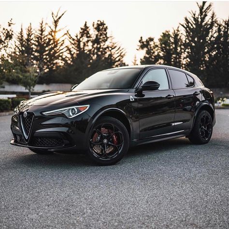 Alpha Romeo Stelvio, Alfa Romeo Stelvio Quadrifoglio, Alfa Cars, Cars Modified, Car Dream, Wallpaper Car, Alfa Romeo Stelvio, Tokyo Drift, Car Organization