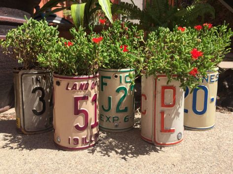 Turn Old Plates Into License Plate Planters Garden Ideas Recycling Metal Old License Plate Ideas Wall Art, License Plates Diy, License Plate Decor, License Plate Crafts, Unusual Planter, Succulent Wall Planter, Old License Plates, Cars Art, Creative Planter